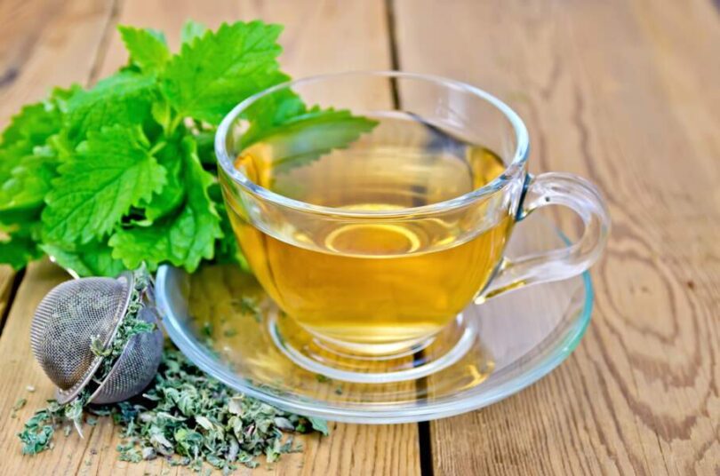 Infusión de ortiga para normalizar los niveles de ácido úrico